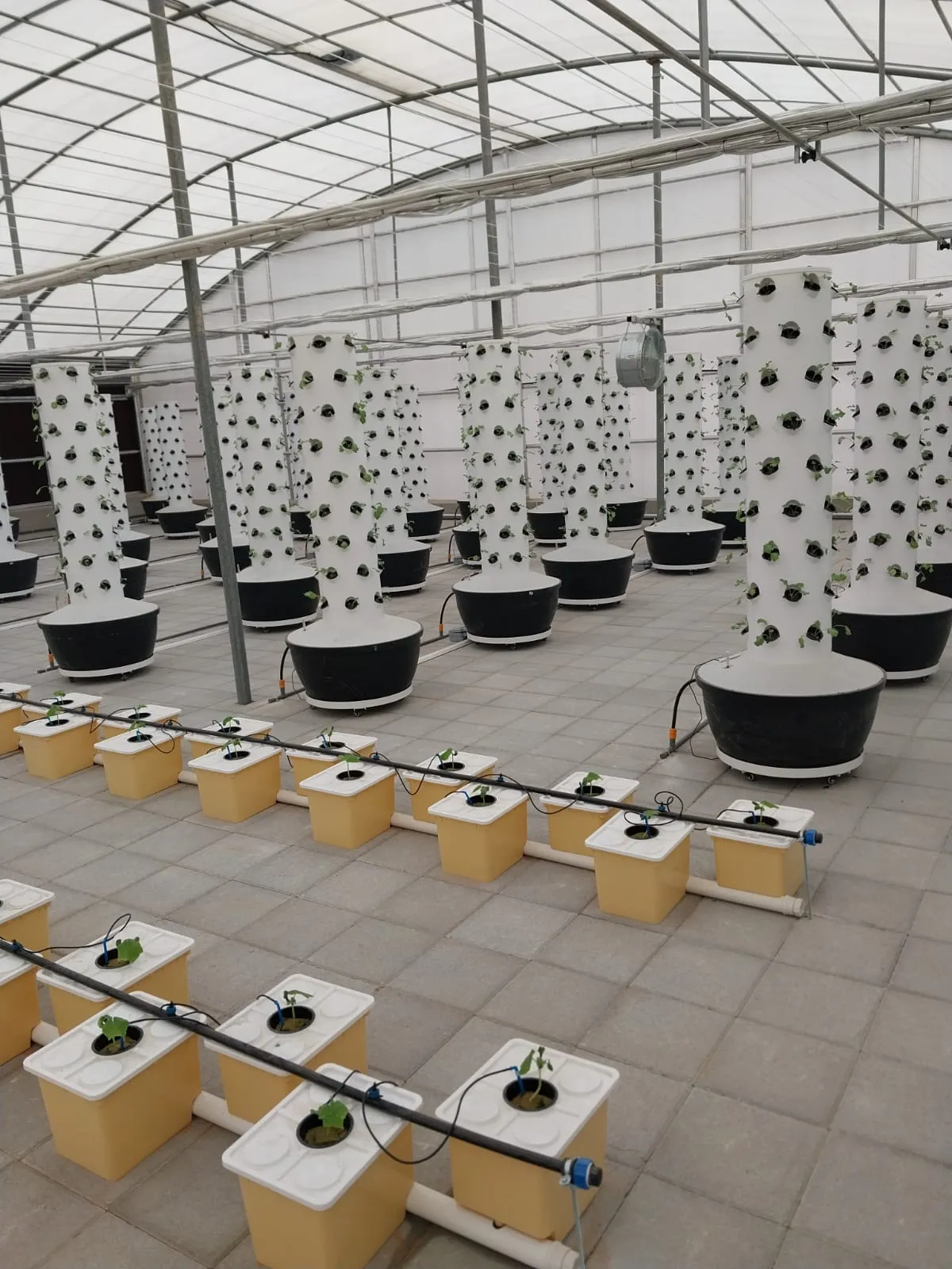 Hydroponic growing system