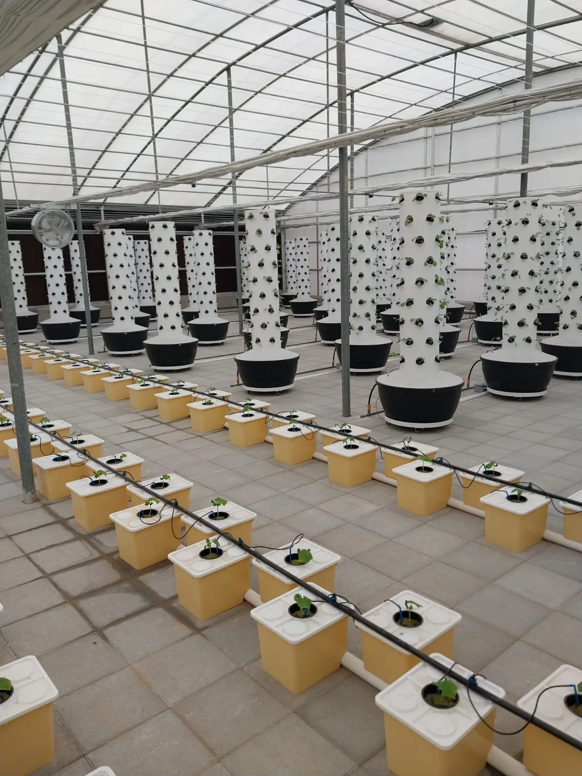 Nutrient delivery lines