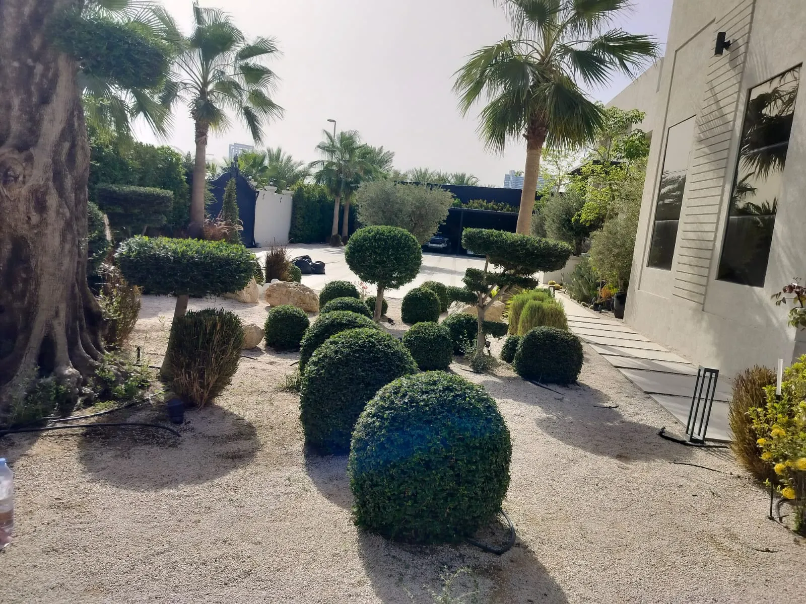 Refined Outdoor Aesthetics