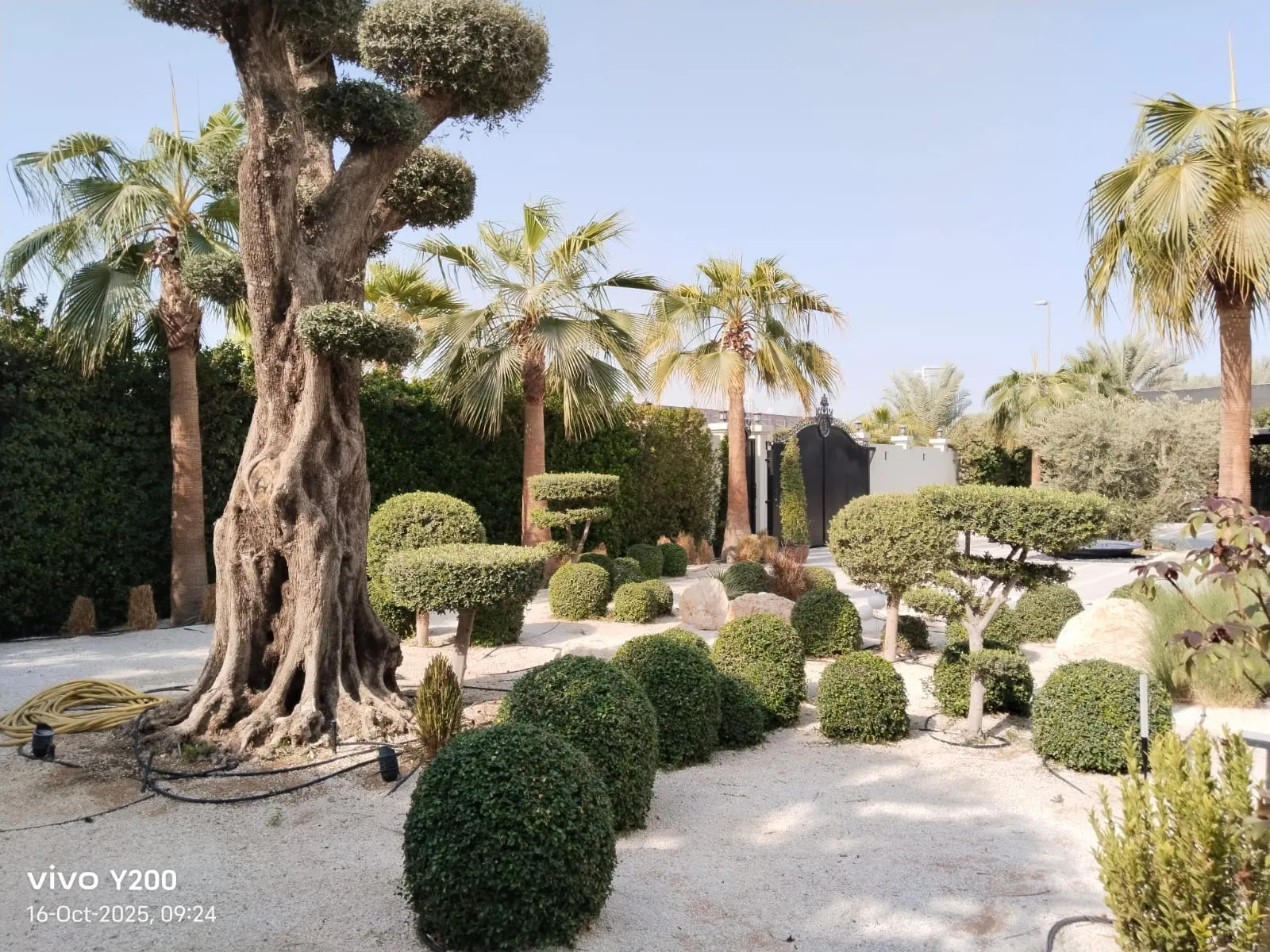 Refined Outdoor Aesthetics