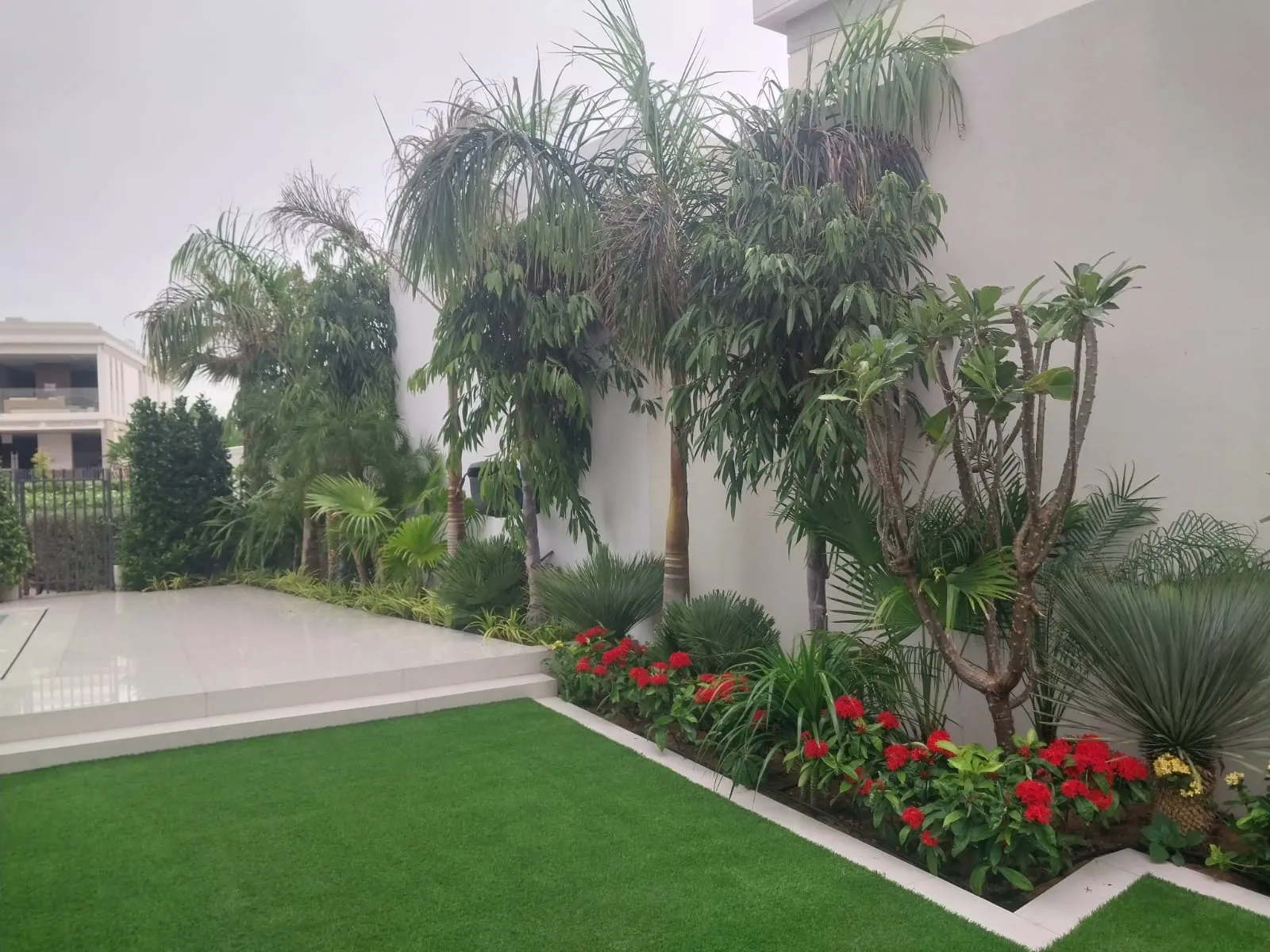 Landscape Design & Swimming Pool
