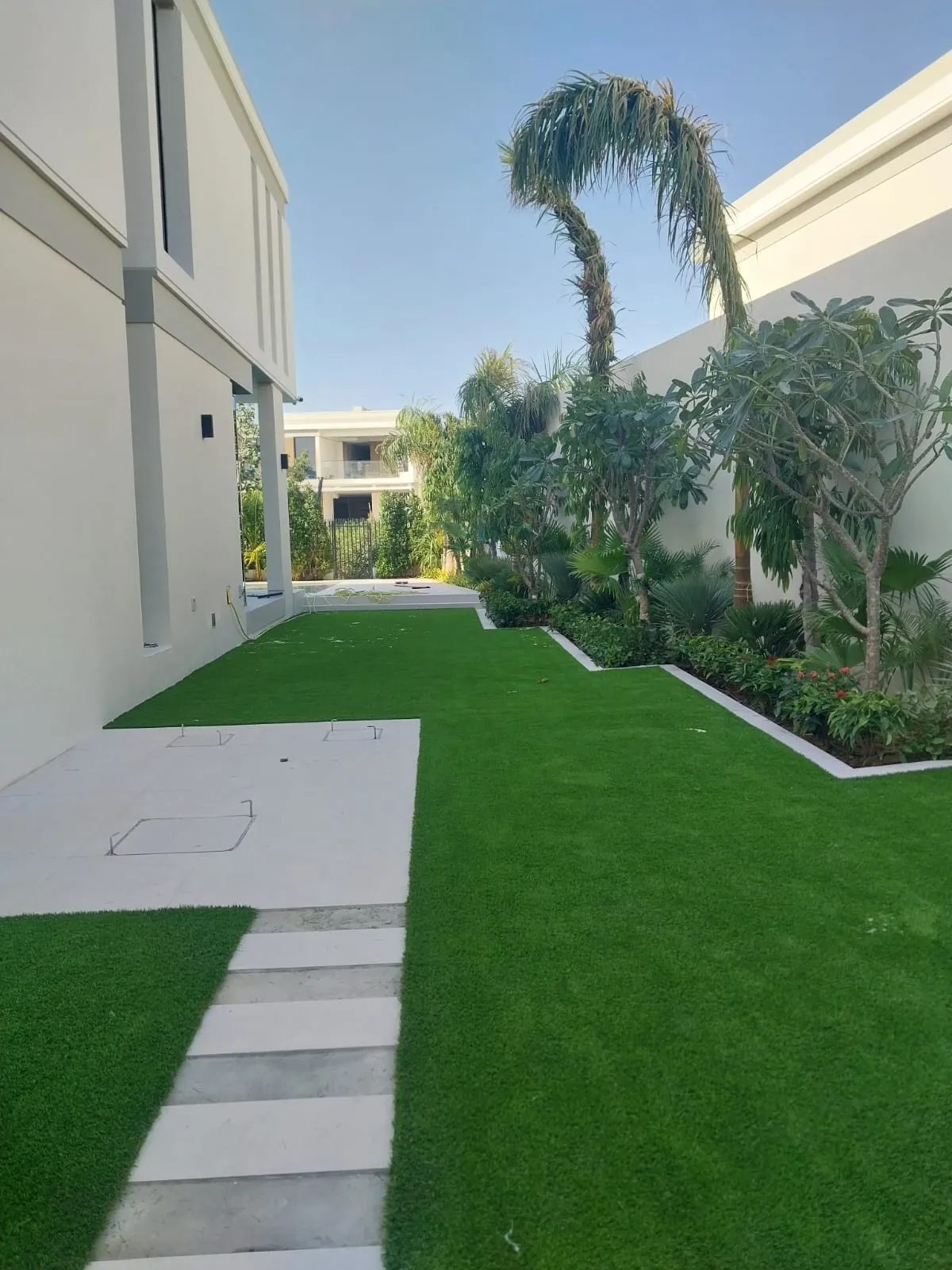 Lush Greenery